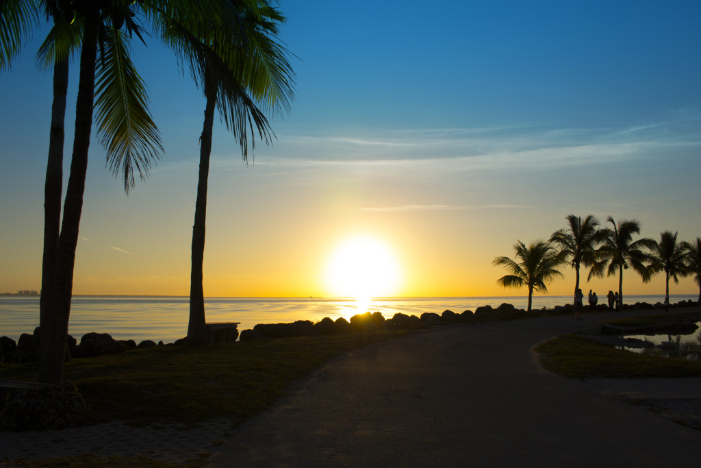 houses for sale spring hill