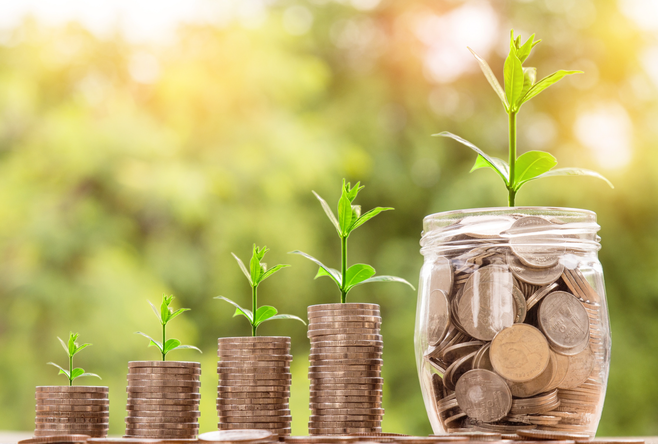 Investement Opportunities-1