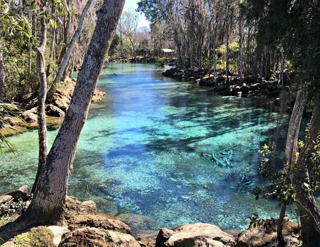 Featured image for the article “LET’S TALK ABOUT WHY ITS SO GREAT . . TO LIVE ON THE FLORIDA NATURE COAST!”