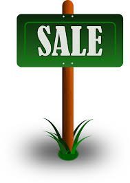 Featured image for the article “Houses for Sale Lutz”
